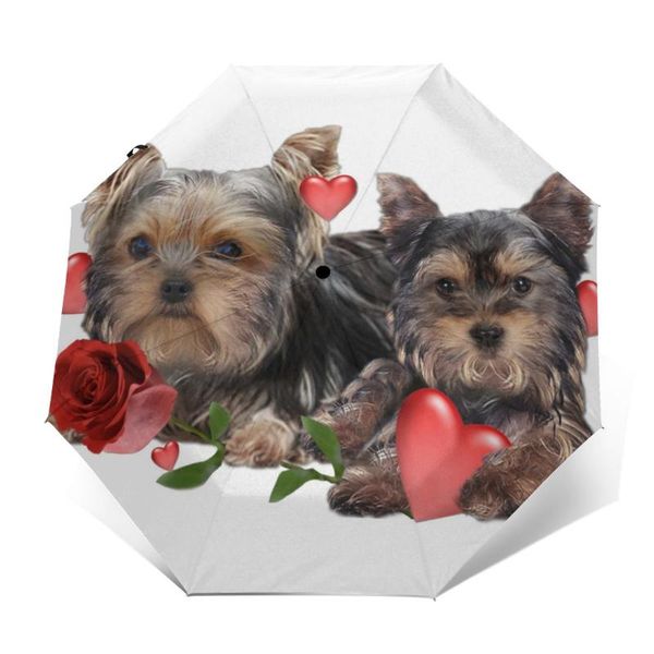 umbrellas yorkshire terrier umbrella windproof trekking unique automatic print lightweight
umbrellas yorkshire terrier umbrella windproof trekking unique automatic print lightweight