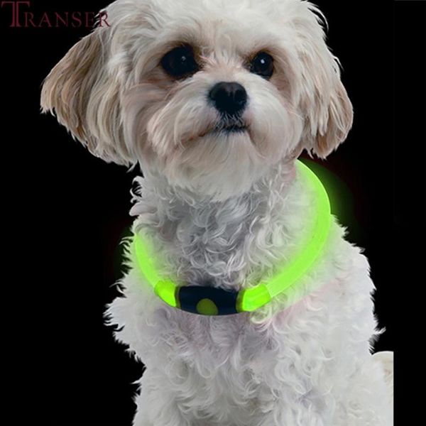 transer led lighting pet dog collar 70cm flourescent green night gown cat dogs collars products supply 910 & leashes
transer led lighting pet dog collar 70cm flourescent green night gown cat dogs collars products supply 910 & leashes