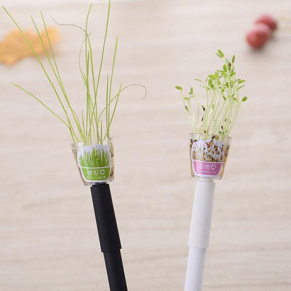 gel pens 2pcs cute garden grow grass pen kawaii korean stationery creative gift office school supplies 0.5mm plant ink
gel pens 2pcs cute garden grow grass pen kawaii korean stationery creative gift office school supplies 0.5mm plant ink