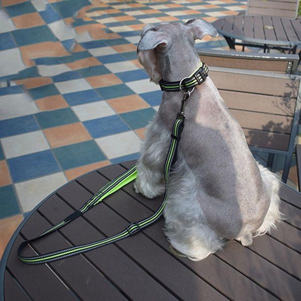 dog collars & leashes outdoor walking summer breathable padded handle suuplies pet reflective leash rope traction for puppy..
dog collars & leashes outdoor walking summer breathable padded handle suuplies pet reflective leash rope traction for puppy..