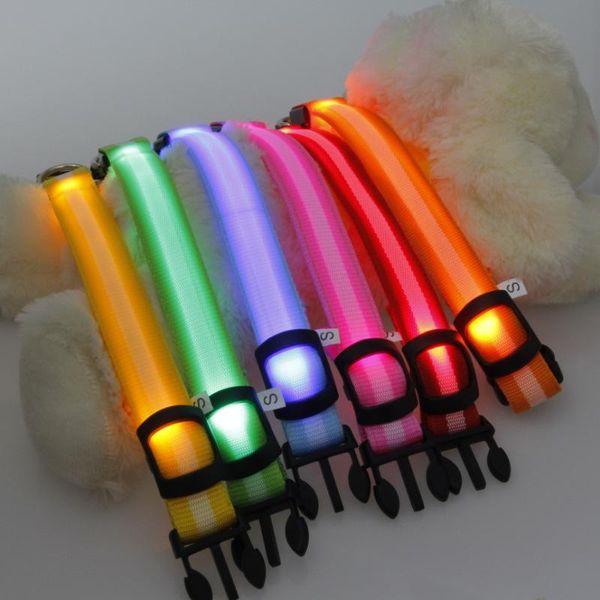 dog collars & leashes 100pcs nylon pet led collar night safety flashing glow cat for dogs s/m/l
dog collars & leashes 100pcs nylon pet led collar night safety flashing glow cat for dogs s/m/l