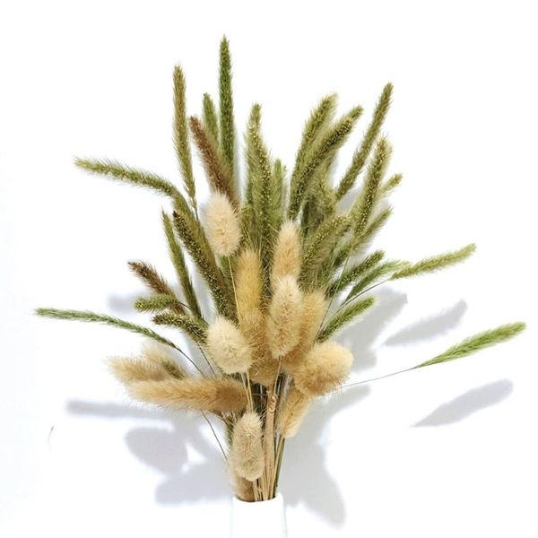 decorative flowers & wreaths 30/40pcs pampa decoration small reed bulrush natural dried phragmites artificial dry plant bunch wedding home 
decorative flowers & wreaths 30/40pcs pampa decoration small reed bulrush natural dried phragmites artificial dry plant bunch wedding home