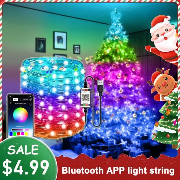 strings 100/150/200 led string light usb lamp bluetooth app for outdoor & indoor waterproof christmas party fairy garden decora lights
strings 100/150/200 led string light usb lamp bluetooth app for outdoor & indoor waterproof christmas party fairy garden decora lights