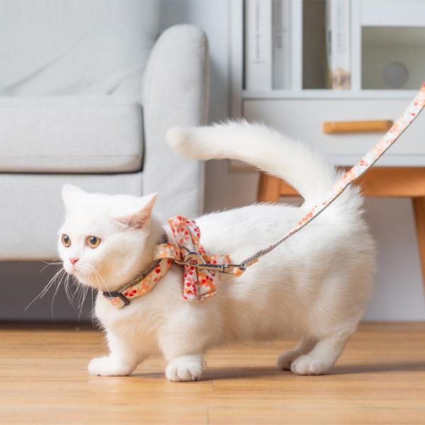 adjustable pet cat collar leads leash butterfly lead harnesses belt traction rope supplies collars &
adjustable pet cat collar leads leash butterfly lead harnesses belt traction rope supplies collars &