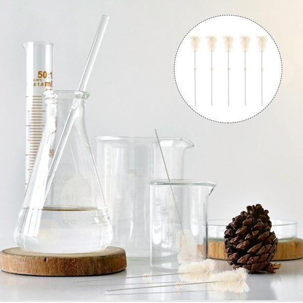 storage bottles & jars 5pcs erlenmeyer flask brush laboratory beaker practical cleaner
storage bottles & jars 5pcs erlenmeyer flask brush laboratory beaker practical cleaner
