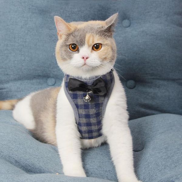 cat harness small dog and leash mesh padded no pull puppy pet bowtie plaid tuxedo vest leads for cats collars &
cat harness small dog and leash mesh padded no pull puppy pet bowtie plaid tuxedo vest leads for cats collars &