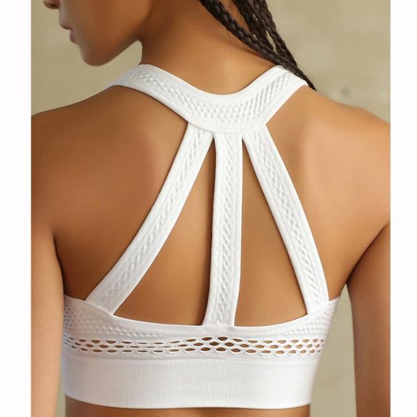 push up sports bra professional absorb sweat fitness bras for women running yoga vest solid breatherbale gym outfit
push up sports bra professional absorb sweat fitness bras for women running yoga vest solid breatherbale gym outfit