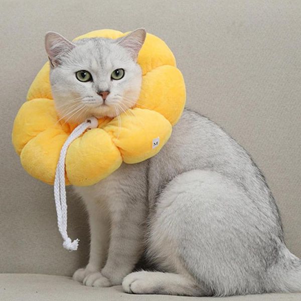 cat collars & leads collar pet recovery protective elizabeth circle anti-bite cone soft anti-scratch neck protector for pets
cat collars & leads collar pet recovery protective elizabeth circle anti-bite cone soft anti-scratch neck protector for pets