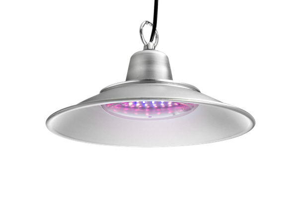 waterproof grow light full spectrum phyto lamp ip65 hydroponic plant growth lighting 220v flower seedling tent lights
waterproof grow light full spectrum phyto lamp ip65 hydroponic plant growth lighting 220v flower seedling tent lights