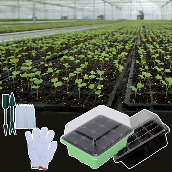 planters & pots 3pcs/set 12 cells plant seed tray grow box with gloves labels transparent nursery pot seedling starter kit germination b
planters & pots 3pcs/set 12 cells plant seed tray grow box with gloves labels transparent nursery pot seedling starter kit germination b