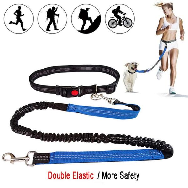pet dog cat soft lash belt chain portable reflective running double retractable leash multicolor night supplies collars & leashes
pet dog cat soft lash belt chain portable reflective running double retractable leash multicolor night supplies collars & leashes