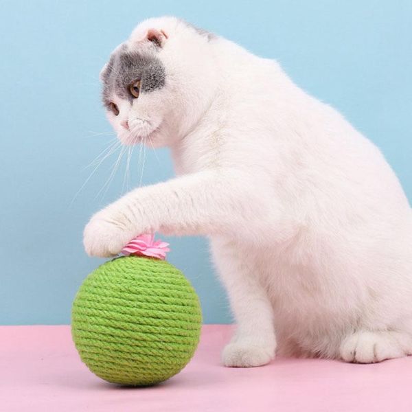 practical 2pcs cat scratcher toy, cats scratching ball motion kitten toys natural sisal rope post with catnip & bell
practical 2pcs cat scratcher toy, cats scratching ball motion kitten toys natural sisal rope post with catnip & bell
