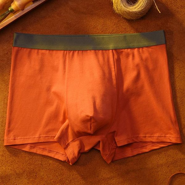 men's underwear, cotton, large size, loose, personalized, comfortable, elastic, breathable boxer shorts, retro trendy shor underpants, Black;white
men's underwear, cotton, large size, loose, personalized, comfortable, elastic, breathable boxer shorts, retro trendy shor underpants, Black;white