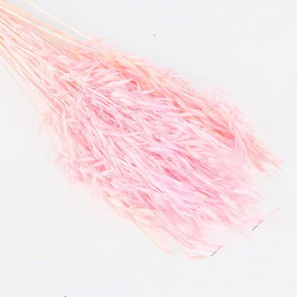 decorative flowers & wreaths natural dried fresh flower bundle preserved diy wedding background wall wheat po pography props
decorative flowers & wreaths natural dried fresh flower bundle preserved diy wedding background wall wheat po pography props