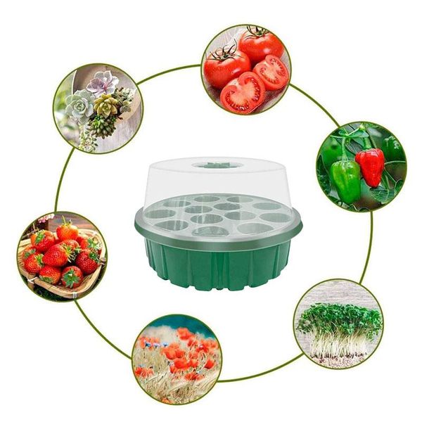 planters & pots 13 holes planting seed tray kit plant germination box with dome and base garden grow gardening seeds
planters & pots 13 holes planting seed tray kit plant germination box with dome and base garden grow gardening seeds