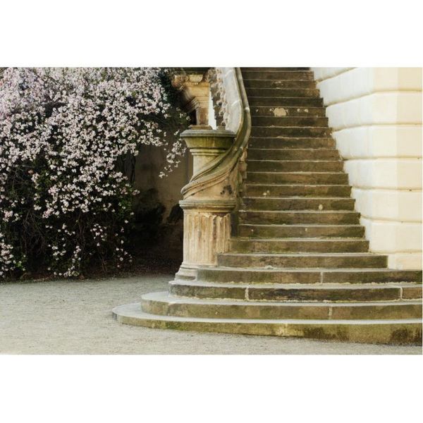 party decoration wedding backdrop vintage staircase flower background decor bridal shower pography po booth studio props
party decoration wedding backdrop vintage staircase flower background decor bridal shower pography po booth studio props