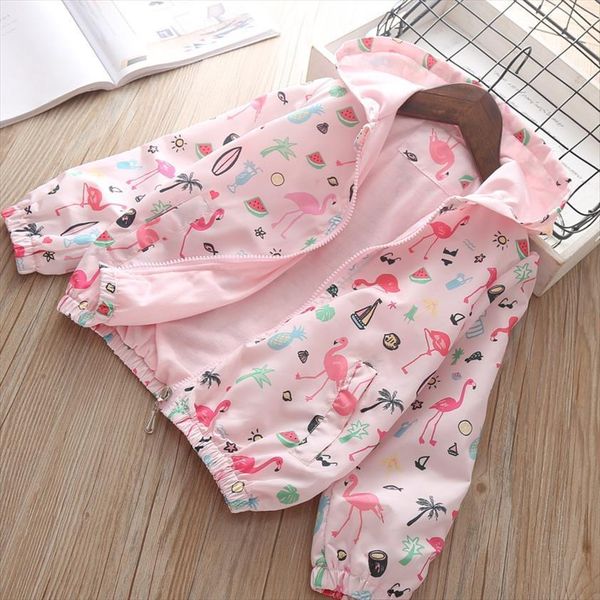 baby autum jacket korean fashion hoody girls outerwear children coat kids spring outwear for girl 3 4 5 6 years, Blue;gray
baby autum jacket korean fashion hoody girls outerwear children coat kids spring outwear for girl 3 4 5 6 years, Blue;gray