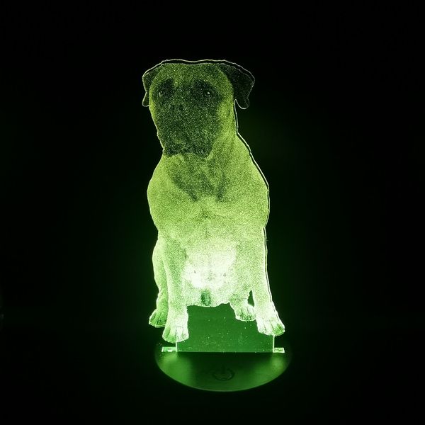 bull mastiff led light for l/club decoration 3d nightlights cool gift party usb powered room table lamp
bull mastiff led light for l/club decoration 3d nightlights cool gift party usb powered room table lamp