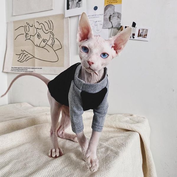 cat costumes sphinx clothes 100% cotton warm sweater for sphynx kitten autumn winter fashion sweatshirt clothing shirt coat
cat costumes sphinx clothes 100% cotton warm sweater for sphynx kitten autumn winter fashion sweatshirt clothing shirt coat