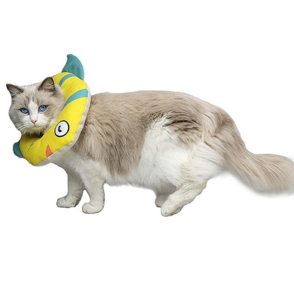 cat collars & leads household supplies sturdy items comfortable practical and durable, bright in summer products
cat collars & leads household supplies sturdy items comfortable practical and durable, bright in summer products