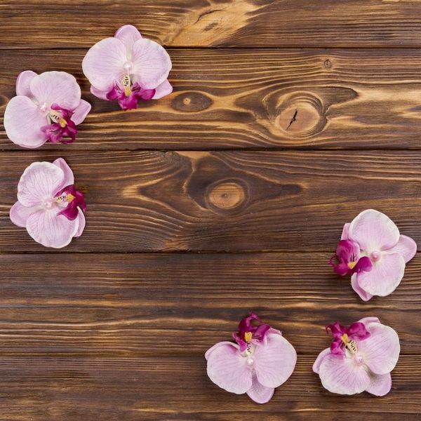 party decoration antique wooden board backdrop phalaenopsis background birthday wedding holiday baby shower decor po booth studio props
party decoration antique wooden board backdrop phalaenopsis background birthday wedding holiday baby shower decor po booth studio props