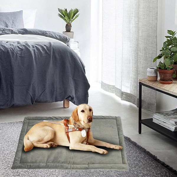 kennels & pens 1pcs warm winter pet puppy cats bed kennel cotton cloth nest for small medium dogs soft dog pads sofa mat supplies
kennels & pens 1pcs warm winter pet puppy cats bed kennel cotton cloth nest for small medium dogs soft dog pads sofa mat supplies