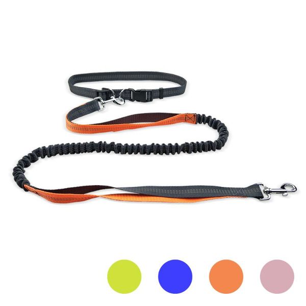 adjustable waist belt retractable hands dog leash with double hand for small large dogs running pet accessories collars & leashes 
adjustable waist belt retractable hands dog leash with double hand for small large dogs running pet accessories collars & leashes