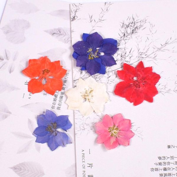 decorative flowers & wreaths consolida ajacis small real dried flower dry plants for candle epoxy resin pendant necklace jewelry making craf
decorative flowers & wreaths consolida ajacis small real dried flower dry plants for candle epoxy resin pendant necklace jewelry making craf