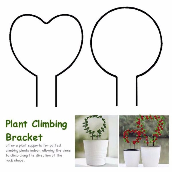 other garden supplies iron art love heart-shaped round plant support vine climbing rack for holding stems accessories
other garden supplies iron art love heart-shaped round plant support vine climbing rack for holding stems accessories