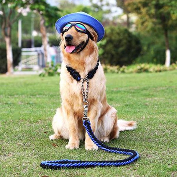 dog collars & leashes basic collar nylon dogs lead rope large chain samoyed training leash perro coleiras para caes big harness dd55qy
dog collars & leashes basic collar nylon dogs lead rope large chain samoyed training leash perro coleiras para caes big harness dd55qy
