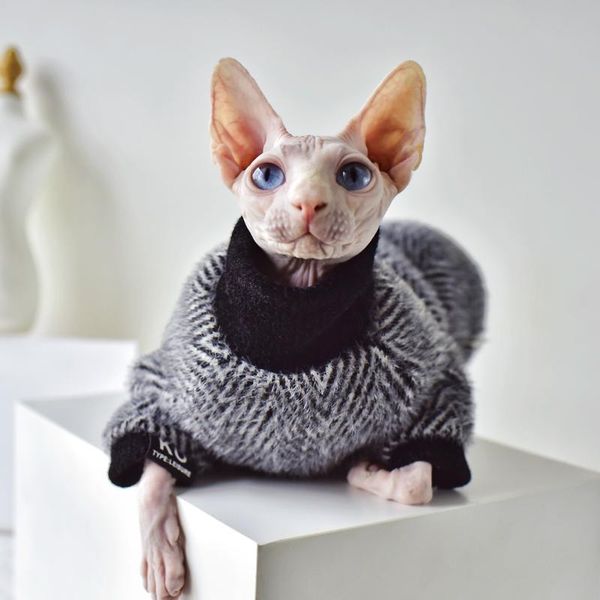 cat costumes sphynx clothes devon high-profile fashion eye-catching soft mink wool sweater winter thick warm hairless
cat costumes sphynx clothes devon high-profile fashion eye-catching soft mink wool sweater winter thick warm hairless