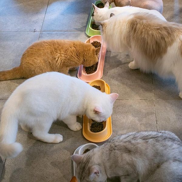 cat bowls & feeders cute long puppy kitten feeding bowl for pet dog bady nursing water milk feeder born drinking bottle
cat bowls & feeders cute long puppy kitten feeding bowl for pet dog bady nursing water milk feeder born drinking bottle