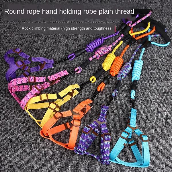 dog collars & leashes pet traction rope chest strap colorful solid color cat and round chain supplies
dog collars & leashes pet traction rope chest strap colorful solid color cat and round chain supplies