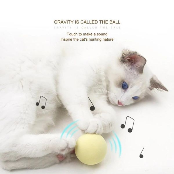 small animal supplies pet sounding toy touch ball funny cat entertainment simulation wool brinquedos
small animal supplies pet sounding toy touch ball funny cat entertainment simulation wool brinquedos
