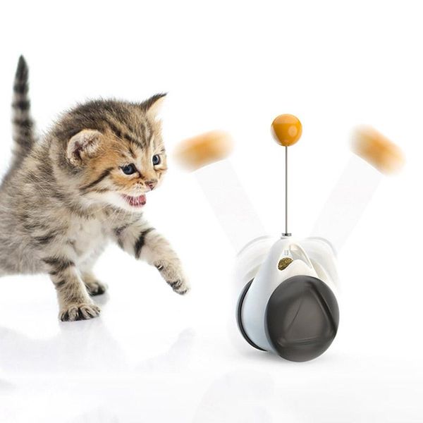 cat toys 1pcs tumbler swing for cats kitten interactive balance car chasing toy with catnip funny pet products
cat toys 1pcs tumbler swing for cats kitten interactive balance car chasing toy with catnip funny pet products