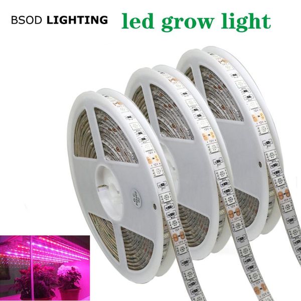 plant grow light dc12v smd strip 3red1 bule waterproof ip67 300leds/roll strips led
plant grow light dc12v smd strip 3red1 bule waterproof ip67 300leds/roll strips led