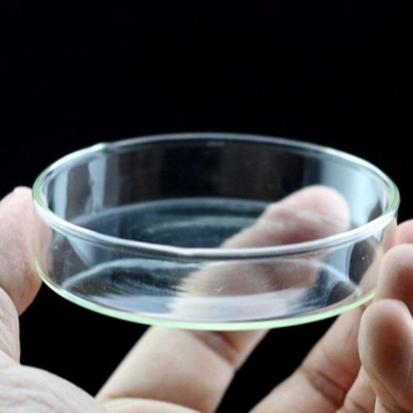 plastic tank clear acrylic shrimp feeding pot dish feeder tray container aquarium decoration accessories decorations
plastic tank clear acrylic shrimp feeding pot dish feeder tray container aquarium decoration accessories decorations