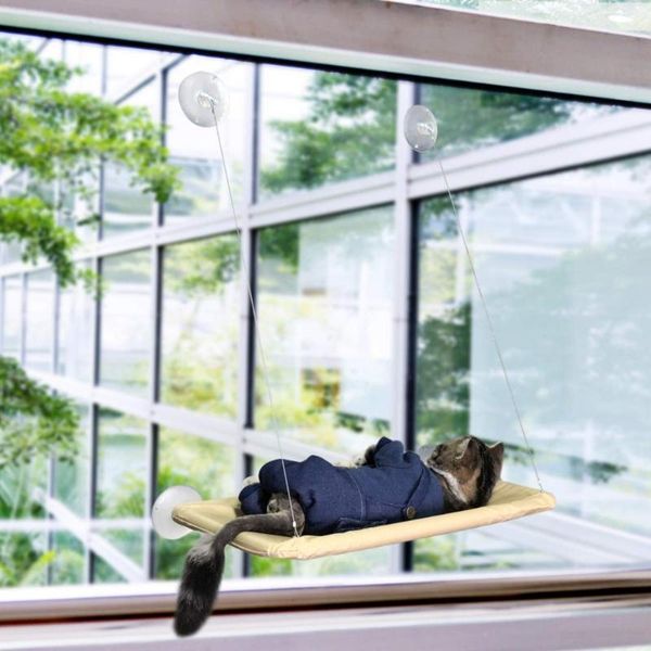 cat resting seat perch window hammock cats kitty safety bed with durable heavy duty suction cups holds up to 30lbs pd042 beds & furniture
cat resting seat perch window hammock cats kitty safety bed with durable heavy duty suction cups holds up to 30lbs pd042 beds & furniture