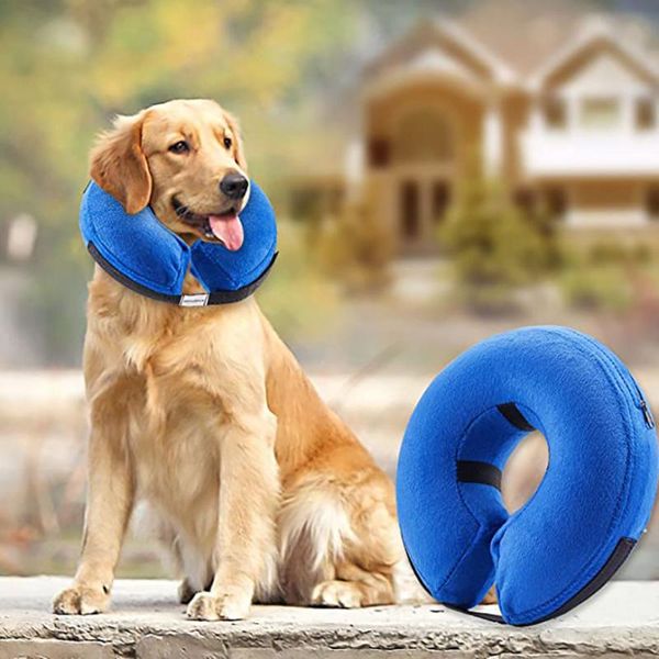dog collars & leashes soft protective inflatable collar for dogs and cats designed protecting small medium or large pets post wounds
dog collars & leashes soft protective inflatable collar for dogs and cats designed protecting small medium or large pets post wounds