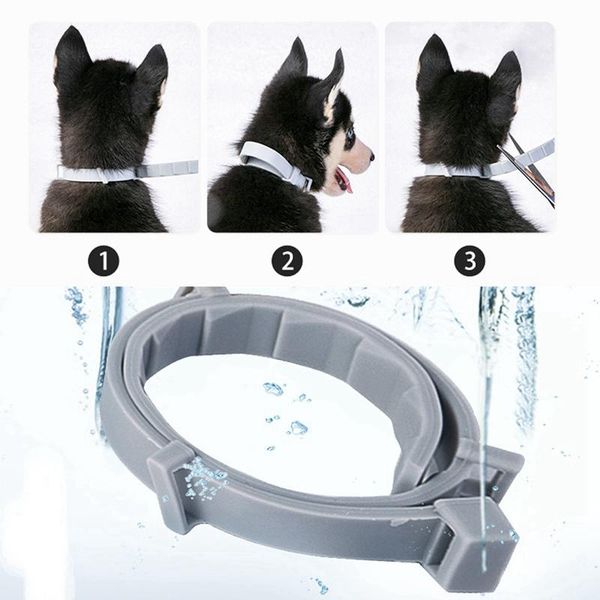 dog collars & leashes pet cat collar anti flea ticks mosquitoes outdoor adjustable cats accessories long-term protection
dog collars & leashes pet cat collar anti flea ticks mosquitoes outdoor adjustable cats accessories long-term protection
