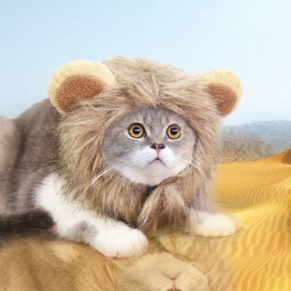 cat costumes funny pet clothes cute wig lion mane cosplay dog cap hat fancy dr with ears party plies
cat costumes funny pet clothes cute wig lion mane cosplay dog cap hat fancy dr with ears party plies