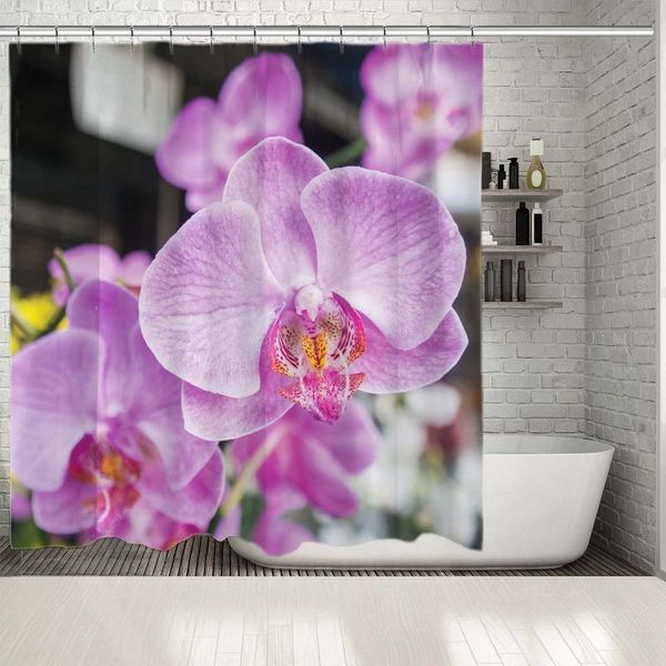 shower curtains curtain purple lilac orchid flowers exotic garden summertime decorative art printed
shower curtains curtain purple lilac orchid flowers exotic garden summertime decorative art printed
