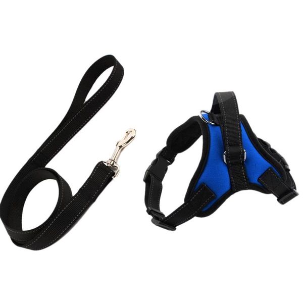 dog collars & leashes harness leash set adjustable breathable cat collar vest for puppy pet chest strap accessories blue s
dog collars & leashes harness leash set adjustable breathable cat collar vest for puppy pet chest strap accessories blue s