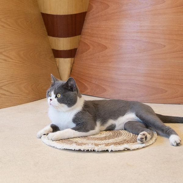 modern round oval carpet for living room bedroom soft comfortable solid rugs non-slip floor mats cat anddog nest corn husk beds & furniture
modern round oval carpet for living room bedroom soft comfortable solid rugs non-slip floor mats cat anddog nest corn husk beds & furniture