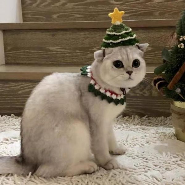 cat costumes cap festive lovely xmas tree pet headwear adjustable dog hat lightweight knitted headgear
cat costumes cap festive lovely xmas tree pet headwear adjustable dog hat lightweight knitted headgear