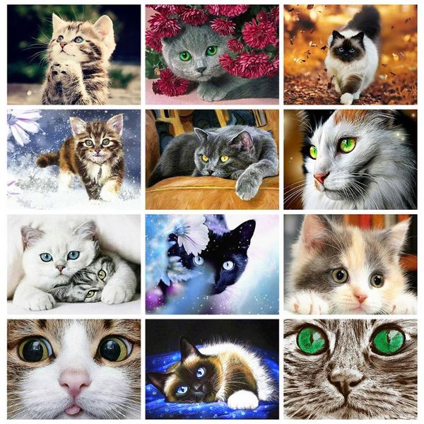diamond painting huacan 5d cat full square embroidery mosaic art kits animal home decor
diamond painting huacan 5d cat full square embroidery mosaic art kits animal home decor