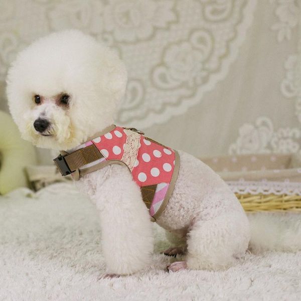 small dog leash with pet teddy collar vip chest harness multiple color collars & leashes
small dog leash with pet teddy collar vip chest harness multiple color collars & leashes