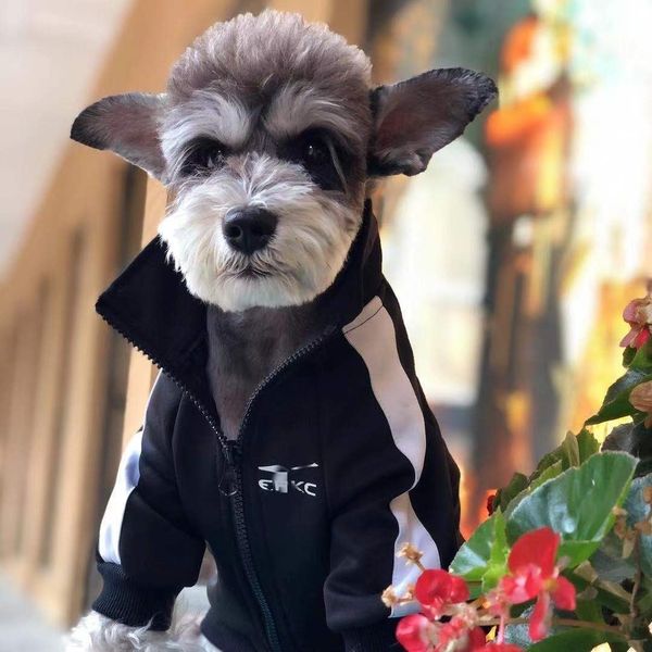 net red tide brand dog sweatshirt autumn winter teddy fado chenery small medium-sized cat pet cloth
net red tide brand dog sweatshirt autumn winter teddy fado chenery small medium-sized cat pet cloth