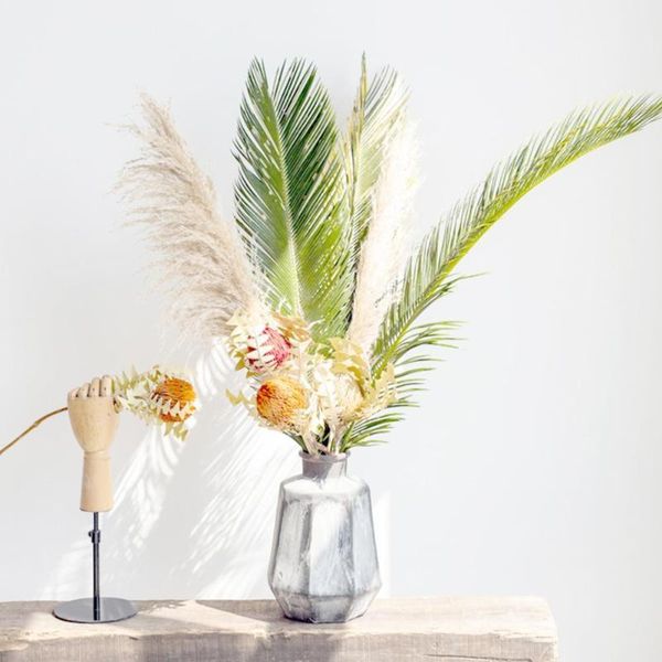 pampas grass reed dried flower artificial branch home natural wedding plants real decoration a8k2 decorative flowers & wreaths
pampas grass reed dried flower artificial branch home natural wedding plants real decoration a8k2 decorative flowers & wreaths