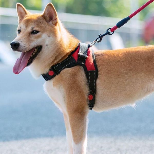dog collars & leashes pet cat adjustable seat belt soft breathable mesh vest training puppies collar chest harness
dog collars & leashes pet cat adjustable seat belt soft breathable mesh vest training puppies collar chest harness